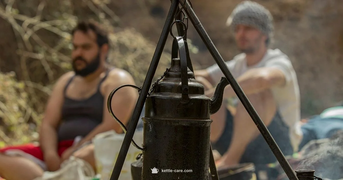 Kettle Chips History - Kettle Care