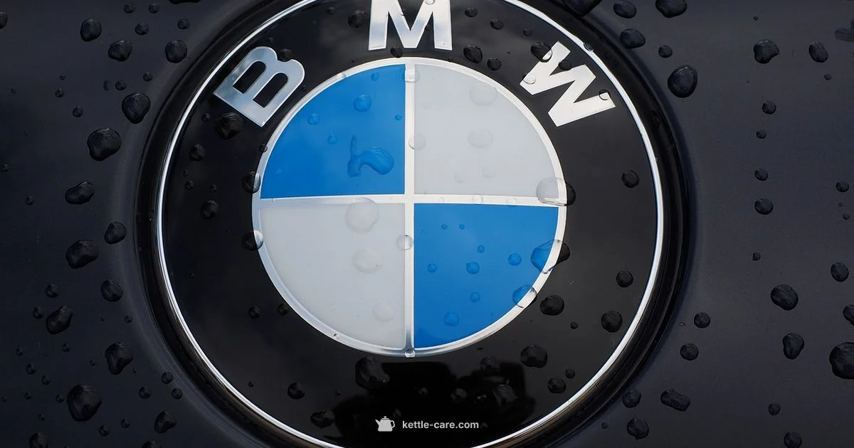 Ownership Guide - Kettle Care