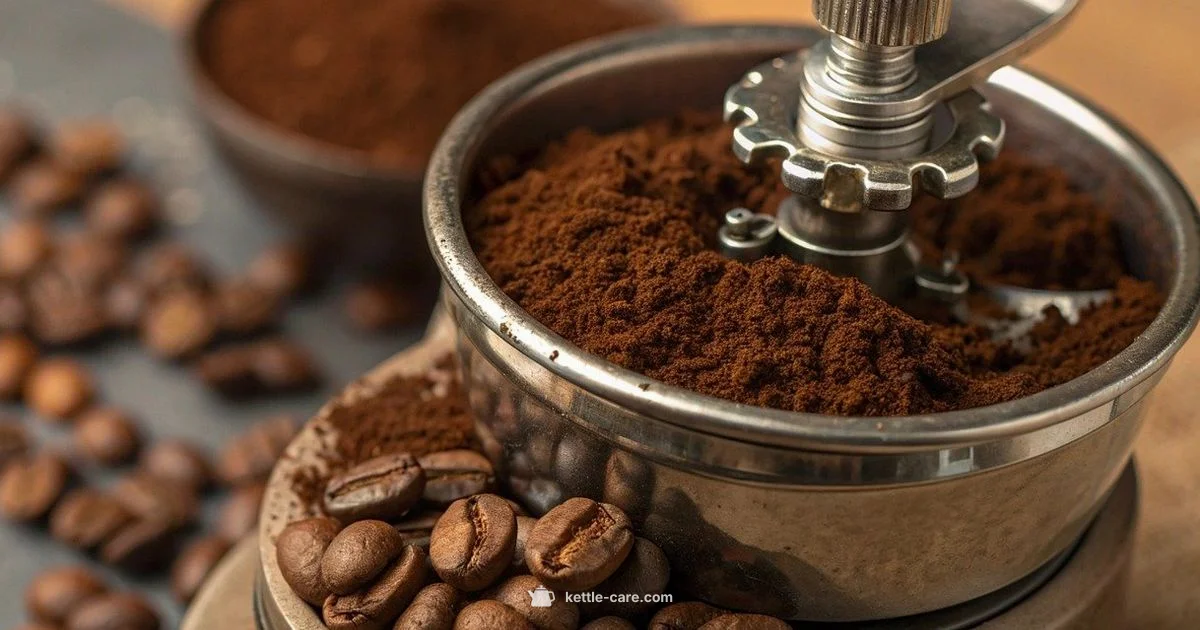 Best Home Brewers - Kettle Care