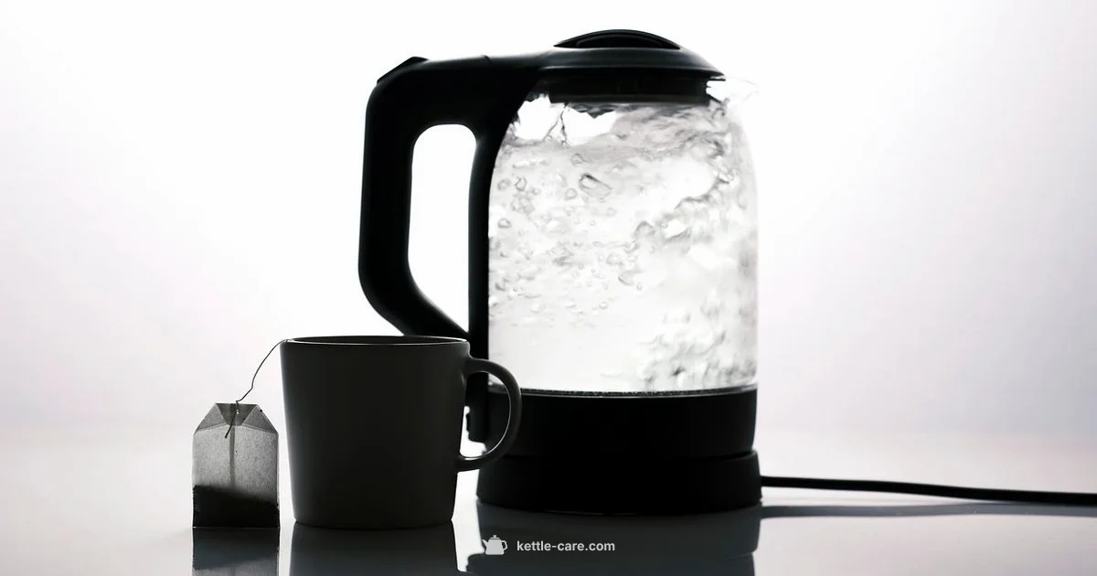 Electric Kettle Guide - Kettle Care