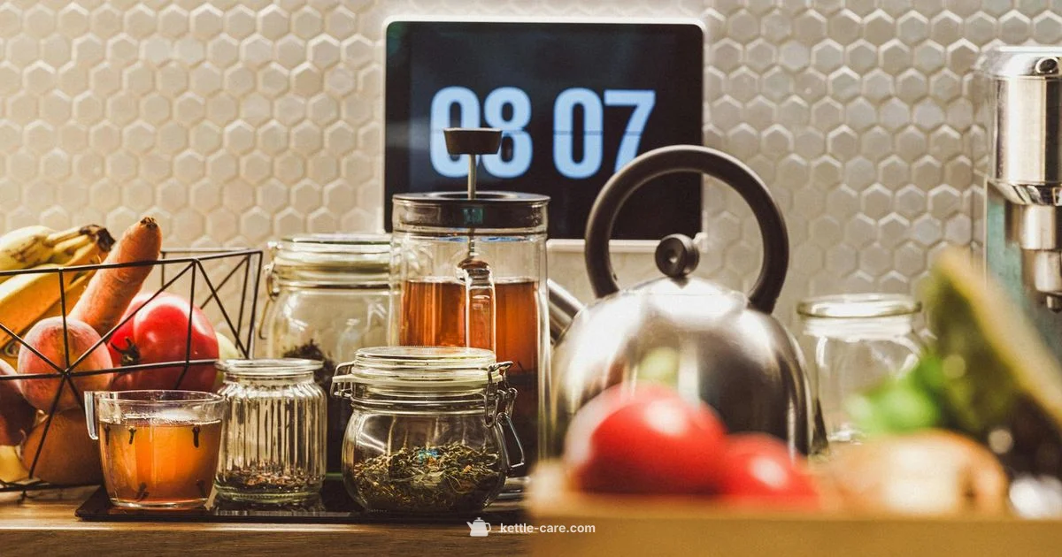 Breville Kettle Review - Kettle Care