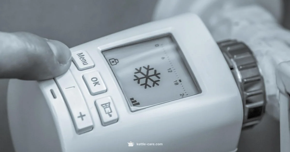 Temp Control Kettle - Kettle Care