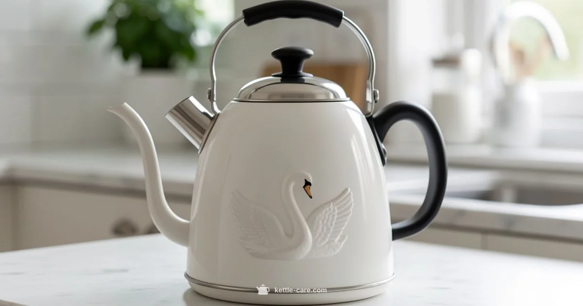 Swan Kettle Guide - Kettle Care