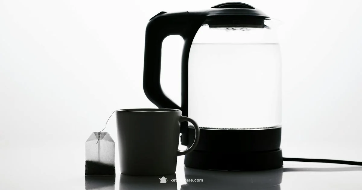 Tiny Kettle Guide - Kettle Care