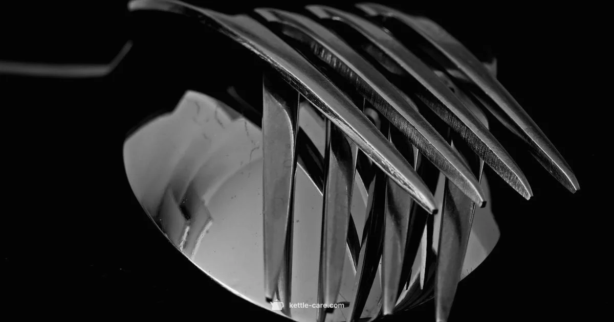 Alessi Black Kettle - Kettle Care