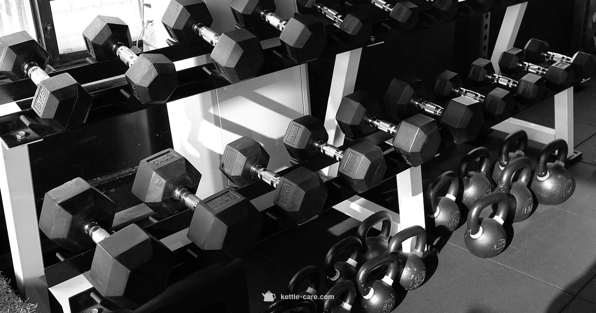 Swing vs Squat - Kettle Care